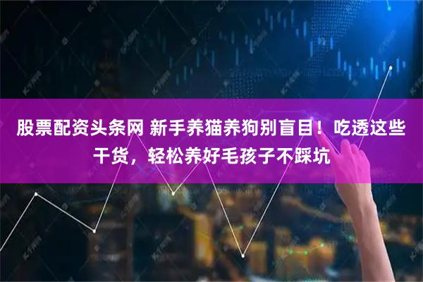 股票配资头条网 新手养猫养狗别盲目！吃透这些干货，轻松养好毛孩子不踩坑