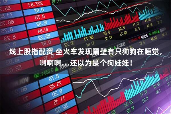 线上股指配资 坐火车发现隔壁有只狗狗在睡觉，啊啊啊…还以为是个狗娃娃！